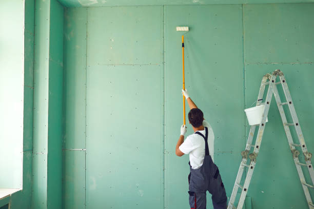 Mold Odor Removal Services in Farmington, AR