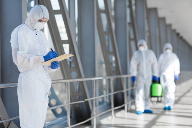 Best Mold Odor Removal Services  in Fmington, AR