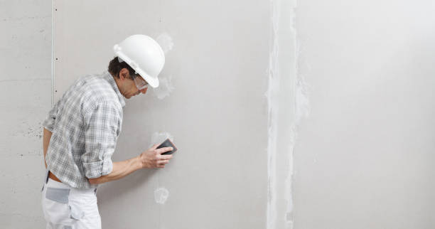 Best Environmental Consulting for Mold Prevention  in Fmington, AR
