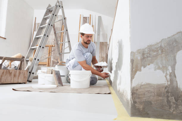 Best Biohazard Mold Removal  in Fmington, AR