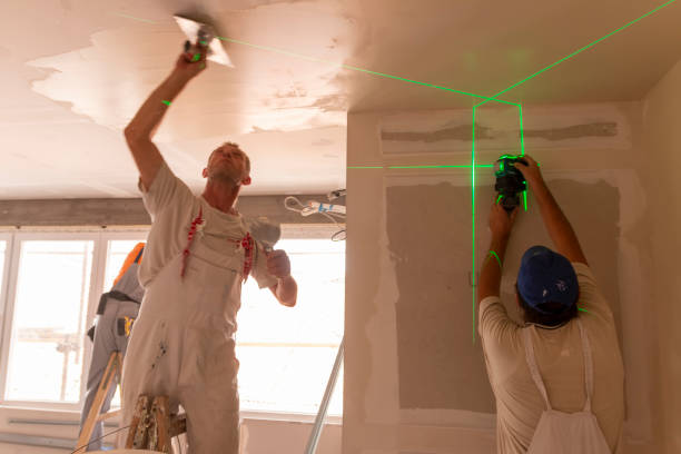 Best Asbestos and Lead Testing During Mold Inspection  in Fmington, AR