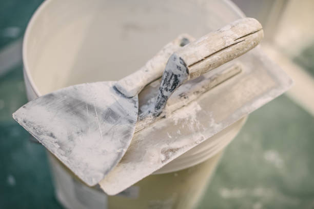 Best Airborne Mold Testing  in Fmington, AR
