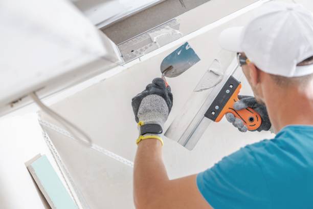 Best Real Estate Mold Inspection  in Fmington, AR